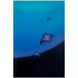 The author's oil painting "Free-falling particles"